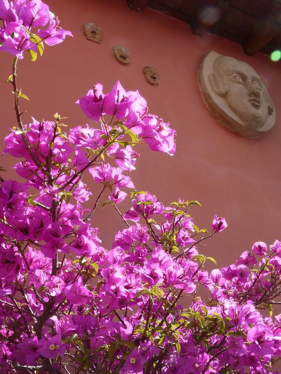Li Rioni Bed & Breakfast Рим Екстериор снимка