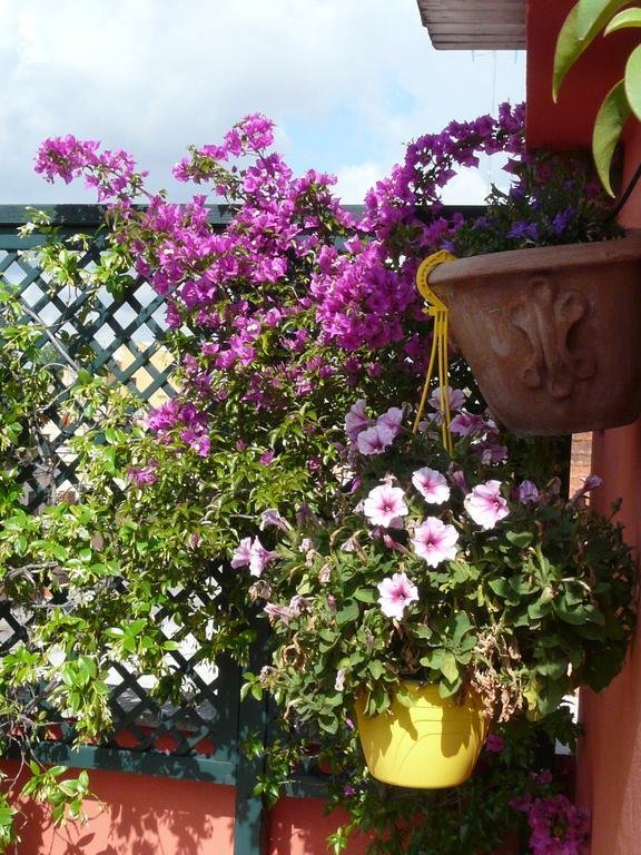 Li Rioni Bed & Breakfast Рим Екстериор снимка